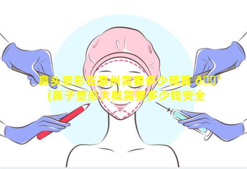 鼻头塑形在泰州需要多少预算 🌳 (鼻子塑形大概需要多少钱安全吗)